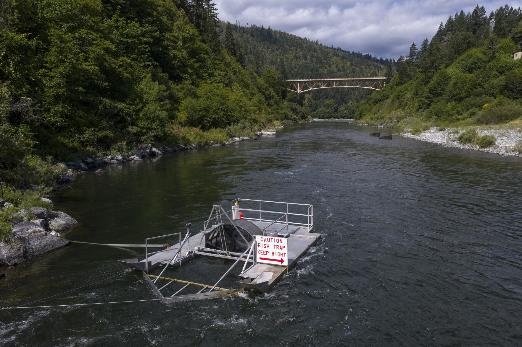 Warming Rivers Dying Fish